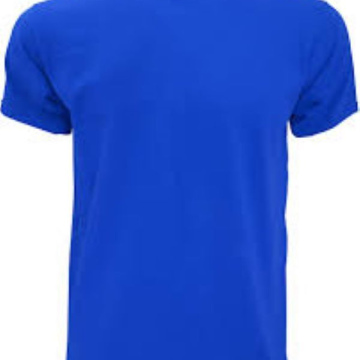 Lightweight Unisex Crew Neck T-Shirt - Royal Blue